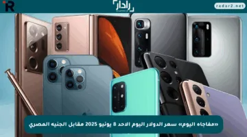«مفاجأة اليوم» سعر الدولار اليوم الأحد 8 يونيو 2025 مقابل الجنيه المصري